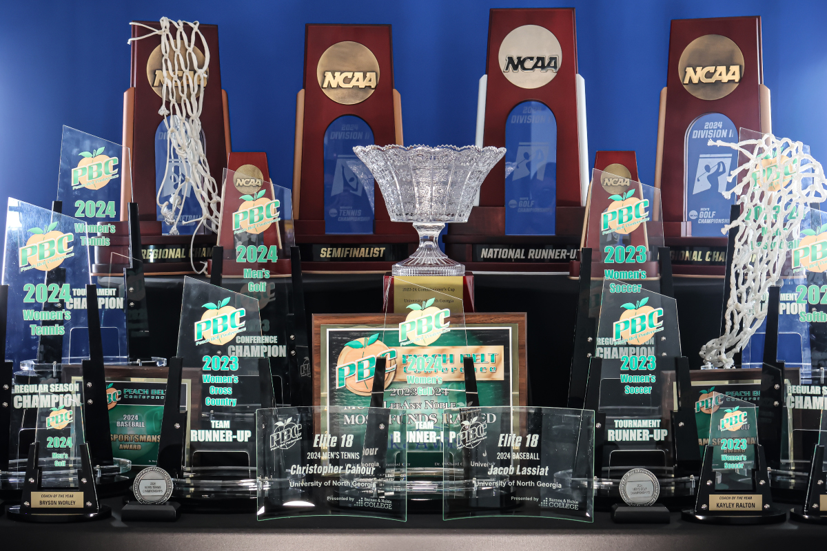 Athletics Strategic Initiatives Fund